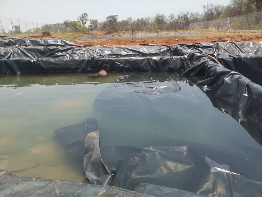 Fish Pond Construction